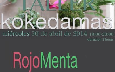 Próximo taller kokedamas – 30 de abril