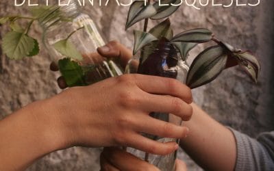 Trueque de plantas y esquejes – Fiestas populares Malasaña