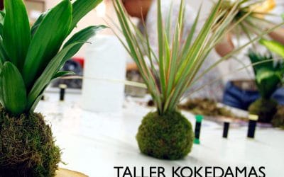 Próximo taller de kokedamas – 23 de mayo