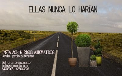 ¿Te vas de vacaciones? Instala un riego automático en tu jardín, patio o terraza