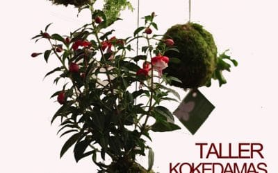 Próximo taller kokedamas – 2 de agosto