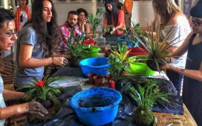 Así fue el taller de kokedamas en Manzana Mahou