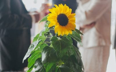 ¿Buscando una decoración de boda original?