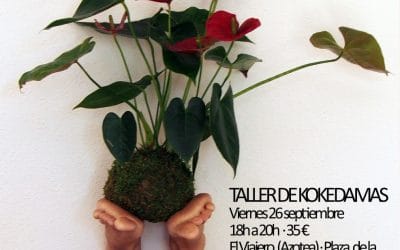 Próximo taller de kokedamas – 26 de septiembre