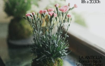 Próximo taller de kokedamas – 17 de octubre