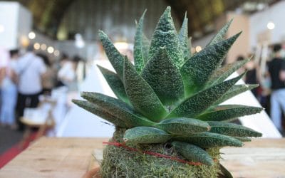 Nuestro paso por Nomada Market – Octubre 2014