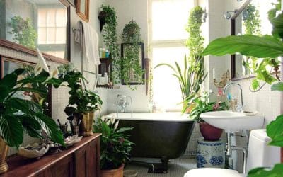 10 razones para hacer nuestro taller de decoración de interior con plantas