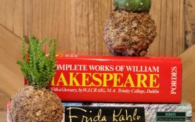 «Hay un tamaño físico para cada idea» – Mini-kokedamas