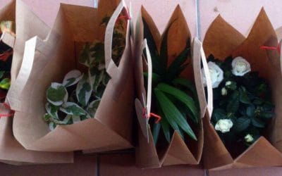 Colaboraciones que nos encantan – OCSI