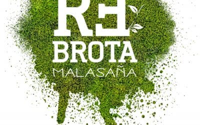 Vuelve Rebrota Malasaña