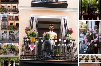 Ganadores segundo concurso de Rebrota Malasaña