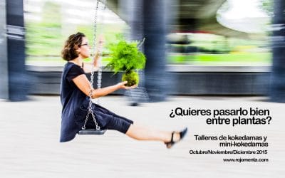 Próximos talleres de kokedamas y mini-kokedamas