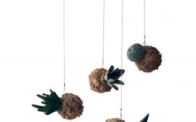 Móvil decorativo de mini kokedamas