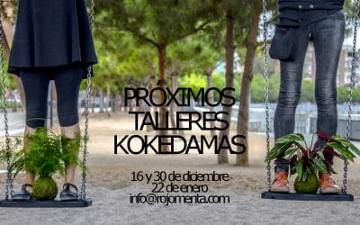 Próximos talleres de kokedamas