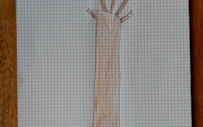 ¿Te gusta mi árbol? Precioso, mentí. Reflexiones de la sociedad y la jardinería urbana