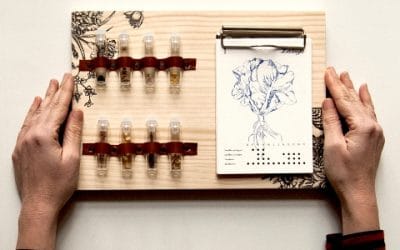 Nuevo kit semillero con Fábrica de Texturas