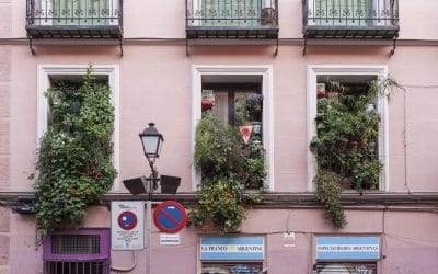 Curso Jardinería Urbana en La Casa Encendida