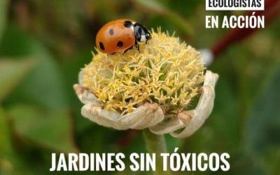 Curso online: Jardines sin tóxicos. Alternativas a los productos fitosanitarios de síntesis