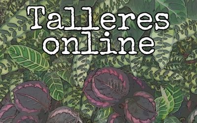 Talleres online – Rojomenta