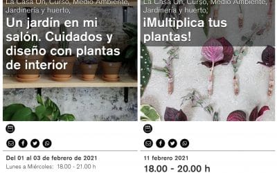 Cursos La Casa Encendida – enero a mayo 2021