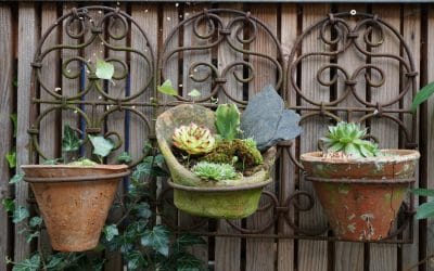 TALLERES ONLINE PRIMAVERA 2021