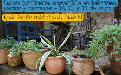 Curso en Real Jardín Botánico de Madrid: jardinería sostenible en balcones, patios y terrazas