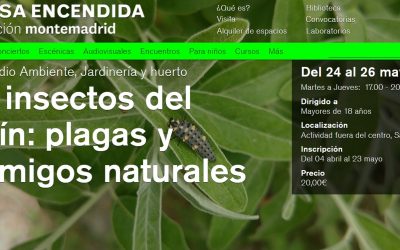 Curso «Los insectos del jardín: plagas y enemigos naturales»