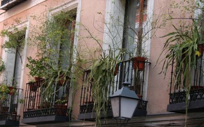 Curso online «Mi balcón: un jardín en menos de 1 m2»