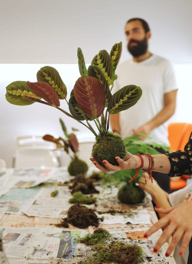 taller kokedamas madrid