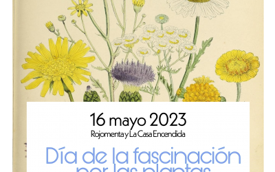 Día de la fascinación por las plantas – 2023