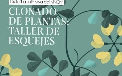 Ciclo de actividades «La sala viva del MNCN»
