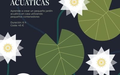 La sala viva del Museo Nacional de Ciencias Naturales: Cultivo de nenúfares y plantas acuáticas