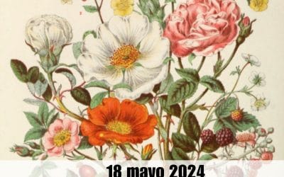 Día de la fascinación por las plantas – 18 mayo 2024