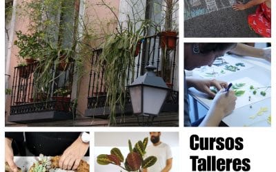 Cursos y talleres Rojomenta – otoño 2024