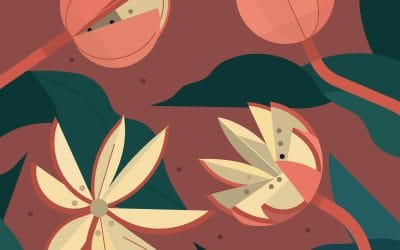 Ciclo de actividades «La sala viva del MNCN» 2024 – 2025