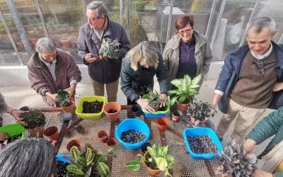 Taller práctico sobre el cultivo de plantas de interior – enero 2025
