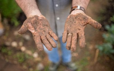 Rescate verde: iniciativa ciudadana – marzo y abril 2025