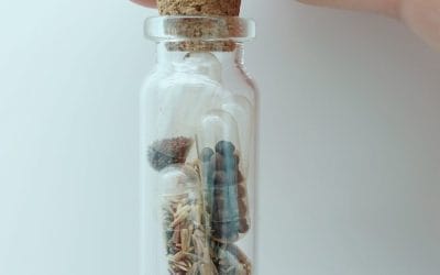 Taller «La siembra del autocuidado: cómo cuidar plantas mejora tu bienestar» – 11 mayo 2025