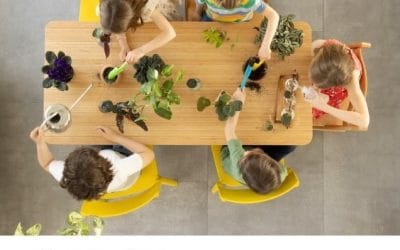 Artículo en Verde es Vida -Verano 2025