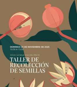 taller semillas Rojomenta