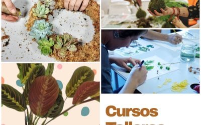 Cursos y talleres Rojomenta – Otoño 2025