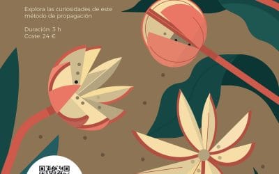 Ciclo de actividades «La sala viva del MNCN» 2025 -2026