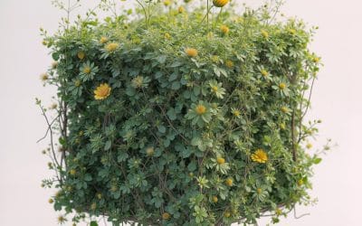 Participamos en BIOPHEST 2026