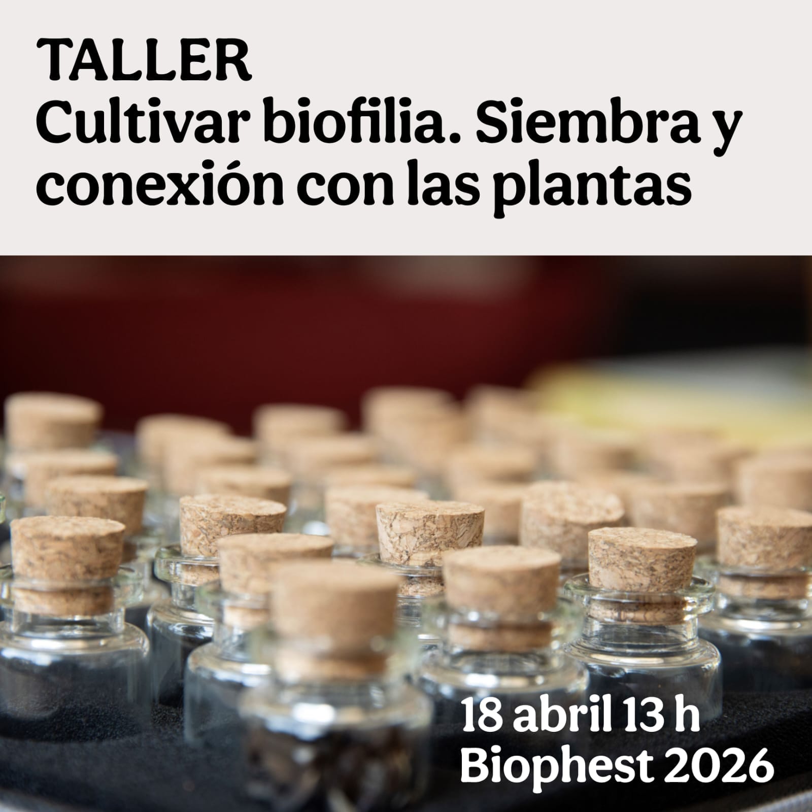 TALLER CULTIVAR BIOFILIA